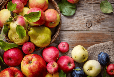 Apfel und Birnensortiment am Biohof Raimund in Kirchschlag